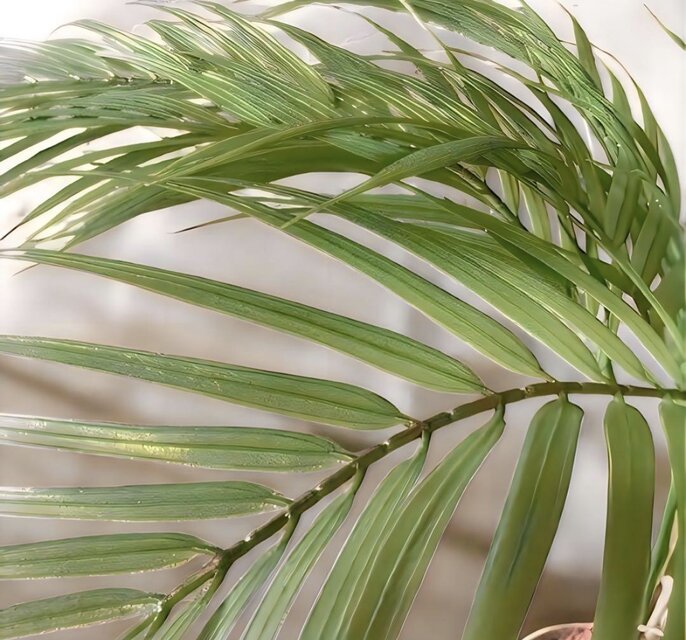 光触媒 人工観葉植物 ウォール グリーン フェイクグリーン アレカヤシ