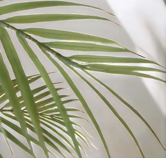光触媒 人工観葉植物 ウォール グリーン フェイクグリーン アレカヤシ
