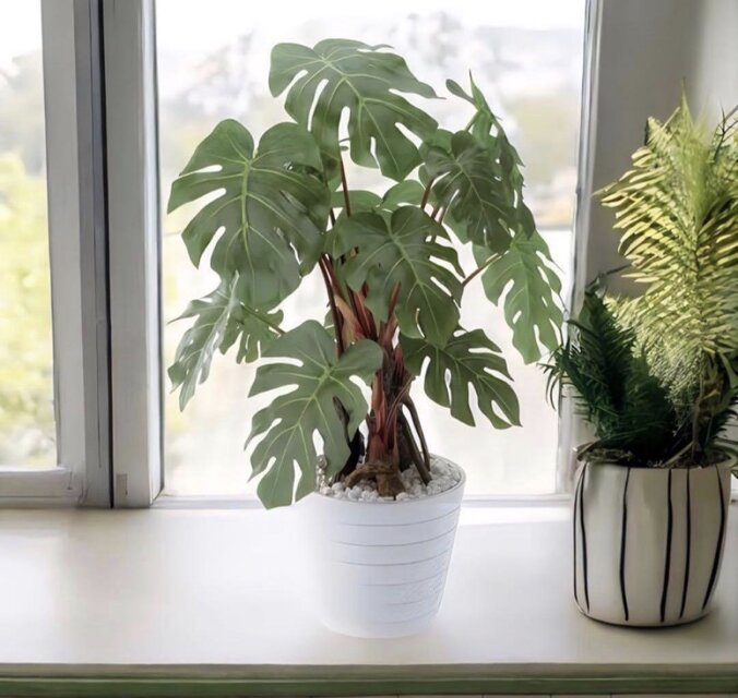 光触媒 人工観葉植物 ウォールグリーン フェイクグリーン モンステラpt