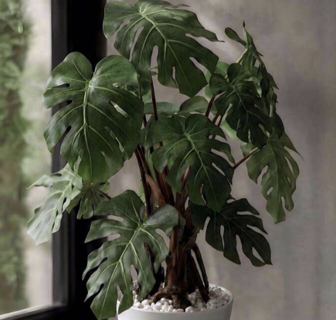 光触媒　人工観葉植物　ウォールグリーン　フェイクグリーン　モンステラポット145 光触媒 人工観葉植物 ウォールグリーン フェイクグリーン モンステラpt