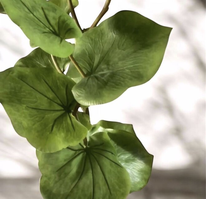 光触媒 人工観葉植物 ウォールグ リーン フェイクグリーン シー