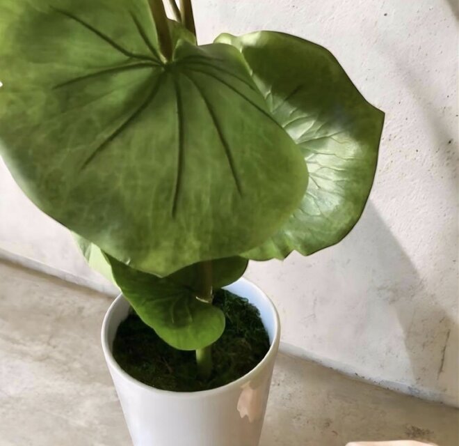 光触媒 人工観葉植物 ウォールグ リーン フェイクグリーン シー