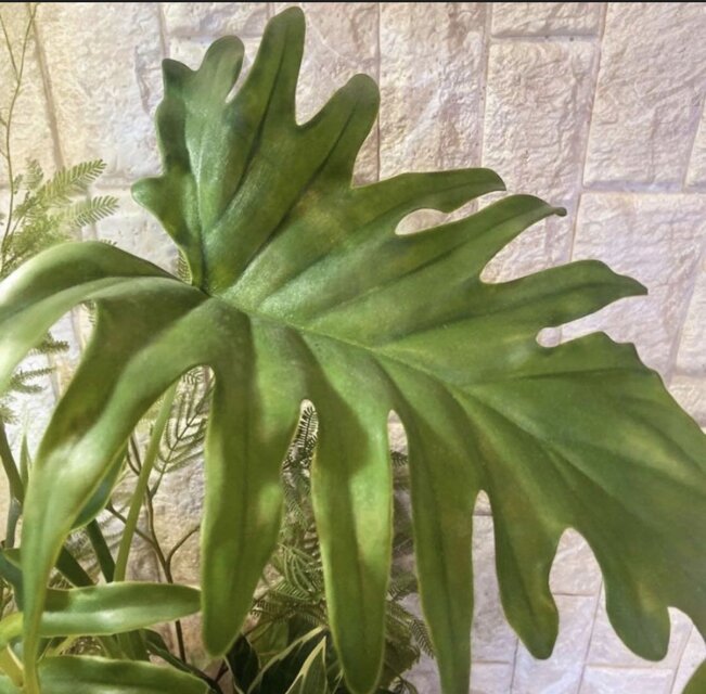 光触媒　人工観葉植物　モンステラ　フェイクグリーン　スプリットアレンジ10ne 光触媒 人工観葉植物 モンステラ フェイクグリーン スプリットアレンジ