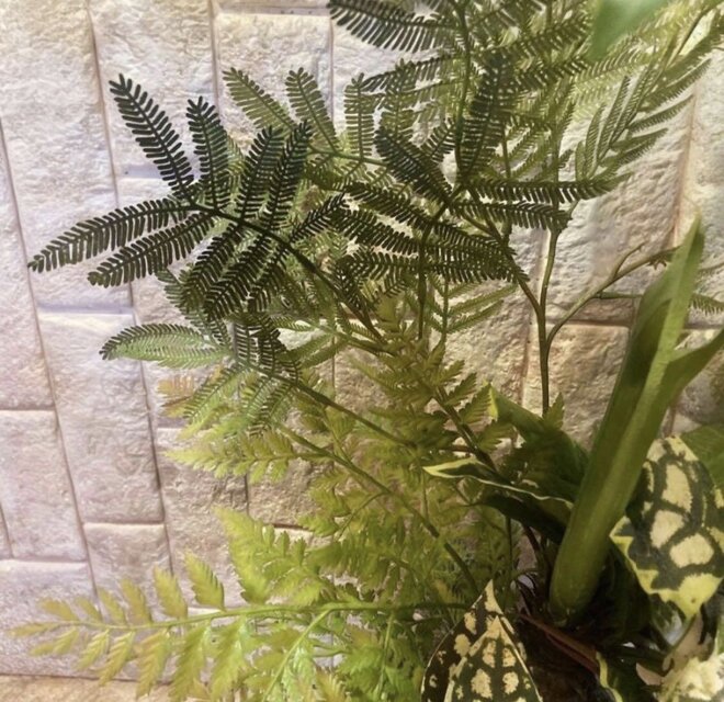 光触媒 人工観葉植物 モンステラ フェイクグリーン スプリットアレンジ