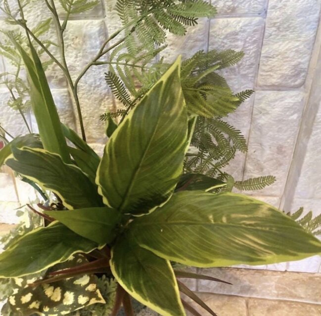 光触媒　人工観葉植物　モンステラ　フェイクグリーン　スプリットアレンジ10ne 光触媒 人工観葉植物 モンステラ フェイクグリーン スプリットアレンジ