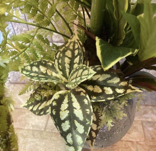 光触媒 人工観葉植物 モンステラ フェイクグリーン スプリットアレンジ