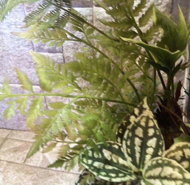 光触媒 人工観葉植物 モンステラ フェイクグリーン スプリットアレンジ
