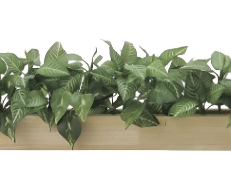 光触媒 人工観葉植物 ウォールグリーン 壁掛け ウッドボックスZP