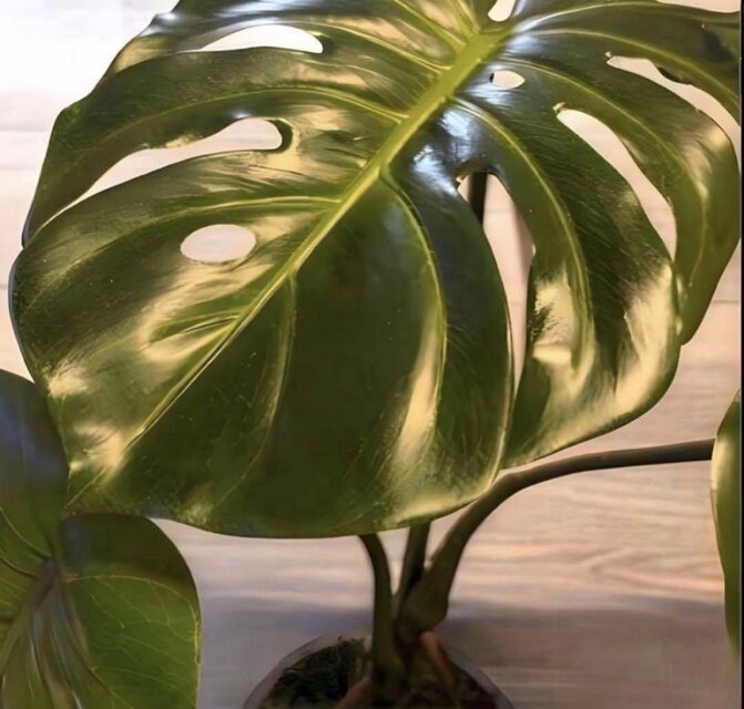光触媒 人工観葉植物 ウォールグリーン フェイクグリーン モンステラ