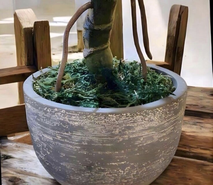 光触媒 人工観葉植物 ウォールグリーン フェイクグリーン モンステラ