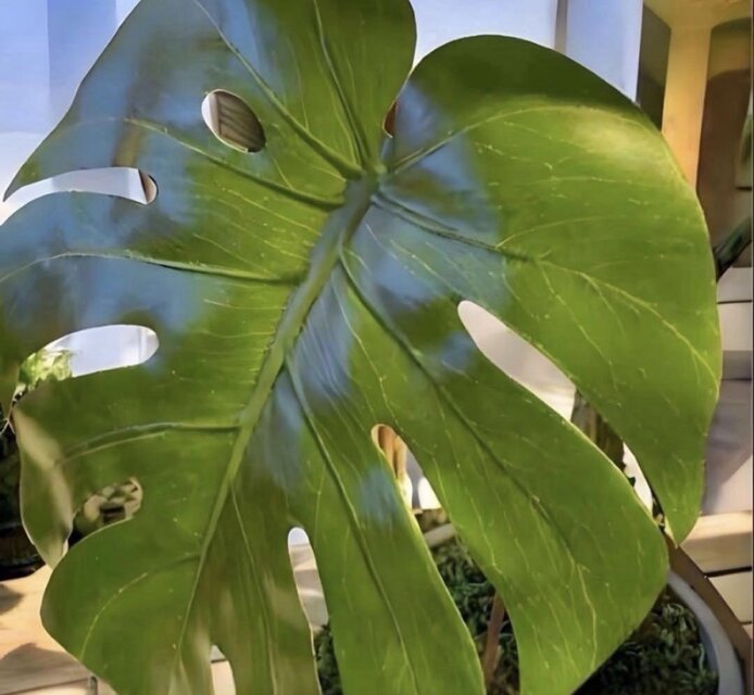 光触媒 人工観葉植物 ウォールグリーン フェイクグリーン モンステラ