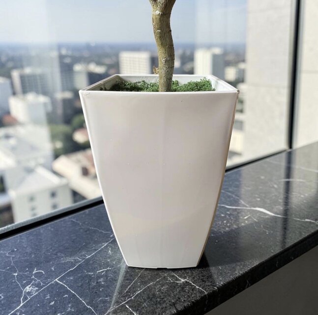 光触媒　人工観葉植物　ウォールグリーン　フェイクグリーン　ガジュマル ボウル@ 光触媒 人工観葉植物 ウォールグリーン フェイクグリーン ガジュマル50