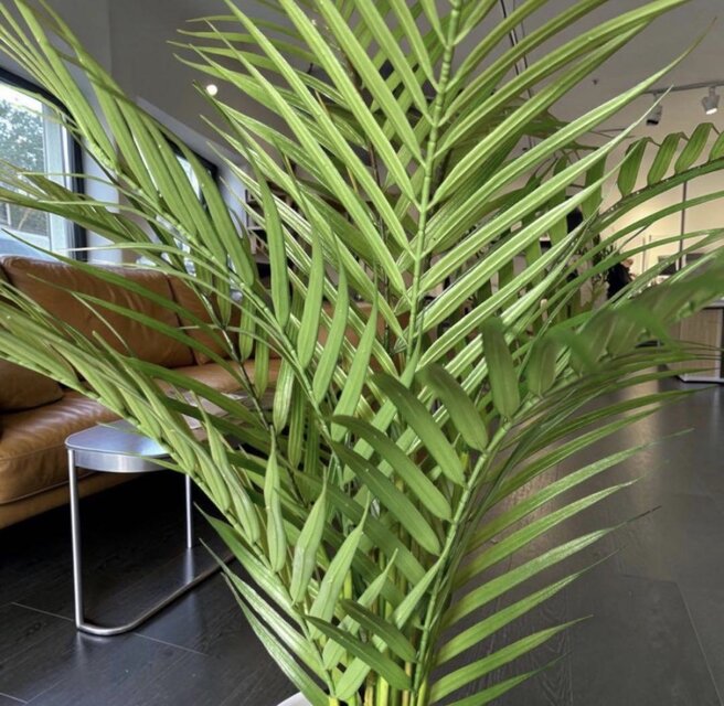 光触媒 人工観葉植物 ウォールグリーン フェイクグリーン プルメリア付
