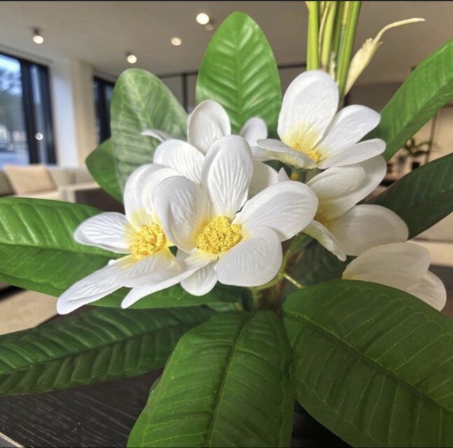 光触媒 人工観葉植物 ウォールグリーン フェイクグリーン プルメリア付
