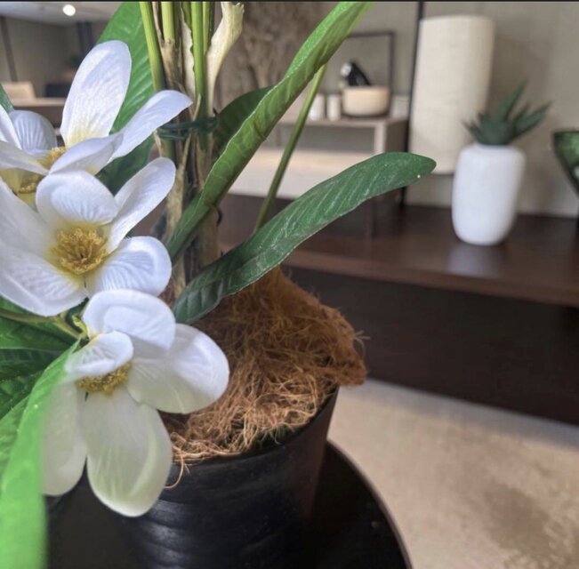光触媒 人工観葉植物 ウォールグリーン フェイクグリーン プルメリア付