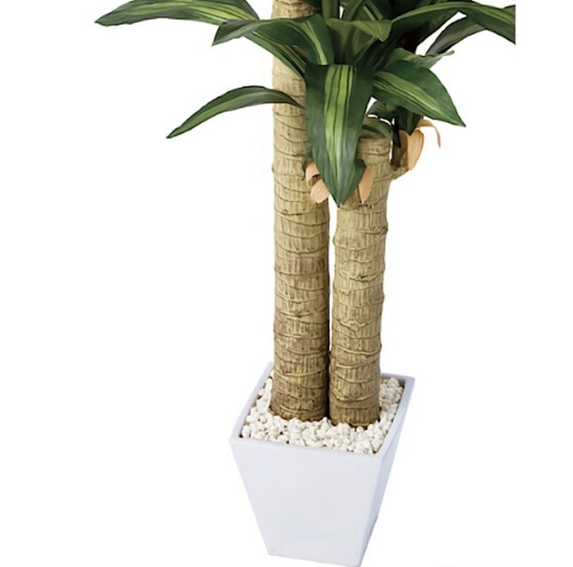 光触媒 観葉植物 ウォールグリーン フェイクグリーン 幸福の木