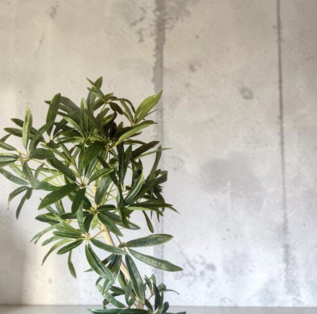 光触媒 人工観葉植物 ウォールグリーン フェイクグリーン シェフレラ