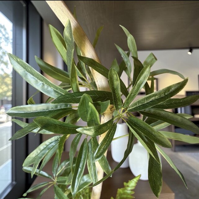 光触媒 人工観葉植物 ウォールグリーン フェイクグリーン シェフレラ