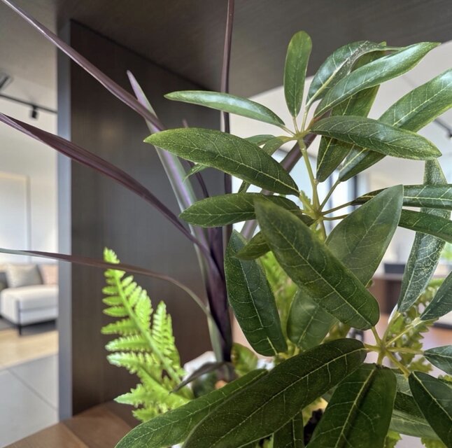 光触媒 人工観葉植物 ウォールグリーン フェイクグリーン シェフレラ
