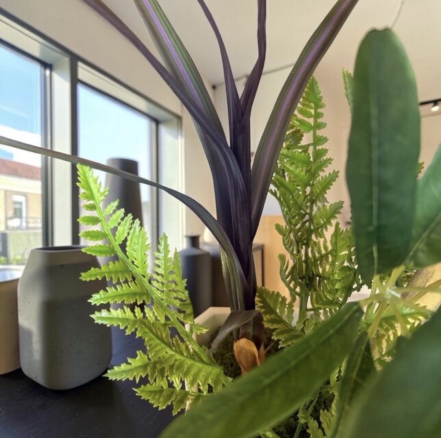 光触媒 人工観葉植物 ウォールグリーン フェイクグリーン シェフレラ
