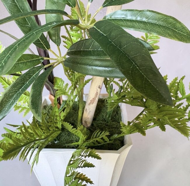光触媒　人工観葉植物　フェイクグリーン　シェフレラアンガスティポット 光触媒 人工観葉植物 ウォールグリーン フェイクグリーン シェフレラ