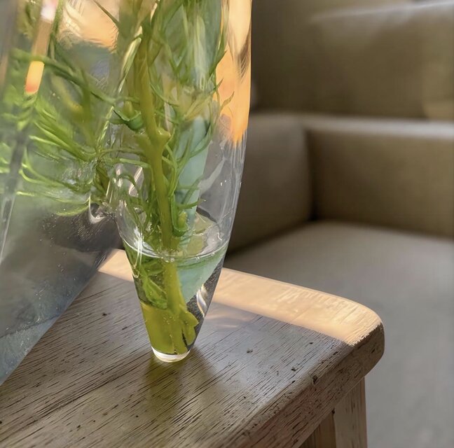 光触媒 観葉植物 ウォールグリーン フェイクグリーン マジカル