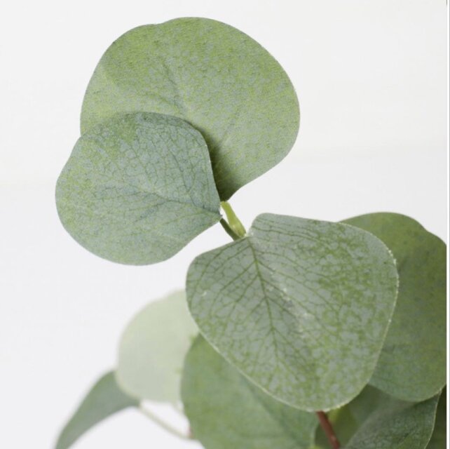 光触媒 人工観葉植物 ウォールグリーン フェイクグリーン ユーカリ