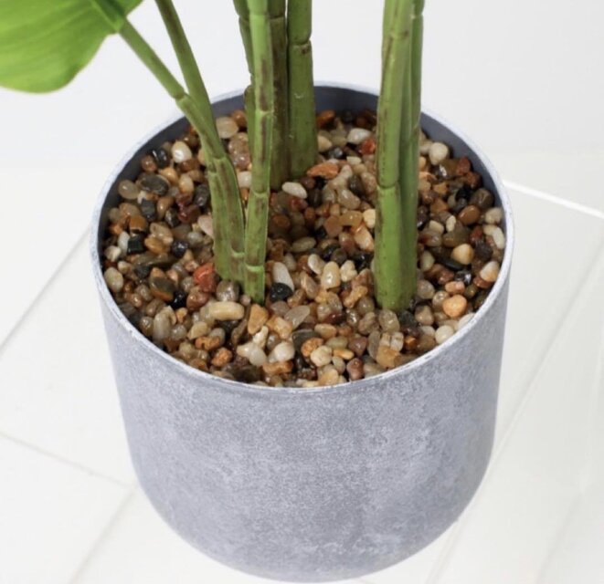 光触媒 人工観葉植物 ウォールグリーン フェイクグリーン オーガスタ