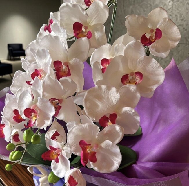 光触媒 人工観葉植物 ウォールグリーン フェイクグリーン 胡蝶蘭6541