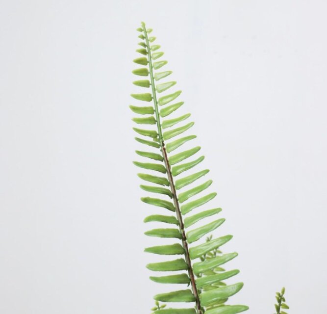 光触媒 人工観葉植物 ウォールグリーン フェイクグリーン シダーポット