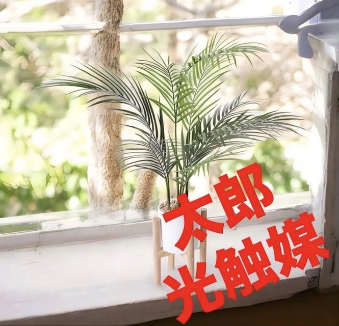 光触媒 観葉植物 ウォールグリーン フェイクグリーン アレカヤシ