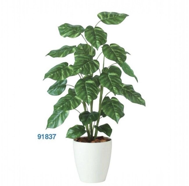 光触媒 人工観葉植物 ウォールグリーン フェイクグリーン ポトスR