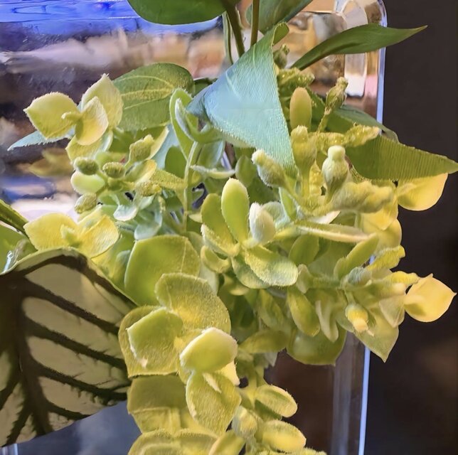 光触媒 観葉植物 ウォールグリーン フェイクグリーン マジカル