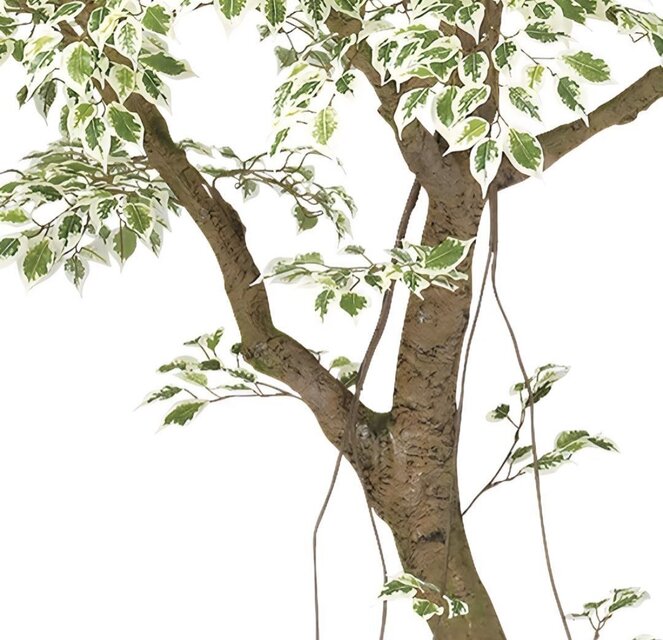 光触媒 人工観葉植物 フェイクグリーン ベンジャミナスターライトコ