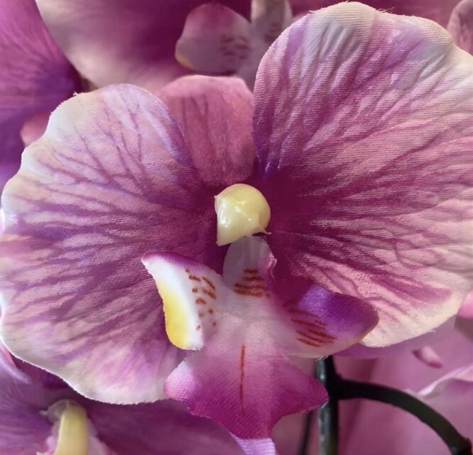 光触媒 人工観葉植物 ウォールグリーン フェイクグリーン 胡蝶蘭6142aj