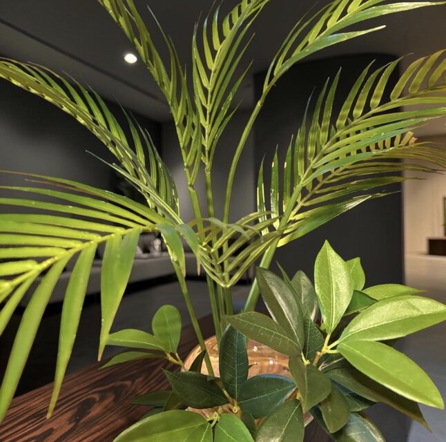 光触媒 観葉植物 ウォールグリーン フェイクグリーン マジカル