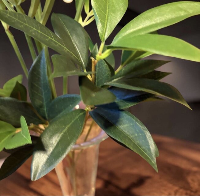 光触媒 観葉植物 ウォールグリーン フェイクグリーン マジカル