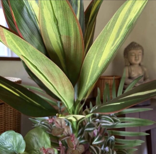 光触媒 観葉植物 ウォールグリーン フェイクグリーン マッサンアレンジ