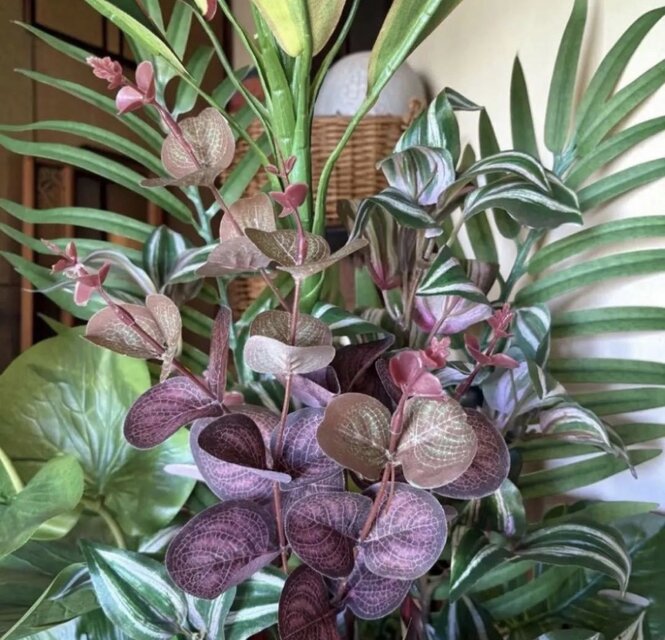 光触媒 観葉植物 ウォールグリーン フェイクグリーン マッサンアレンジ