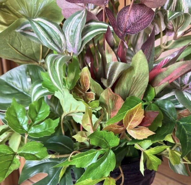 光触媒 観葉植物 ウォールグリーン フェイクグリーン マッサンアレンジ