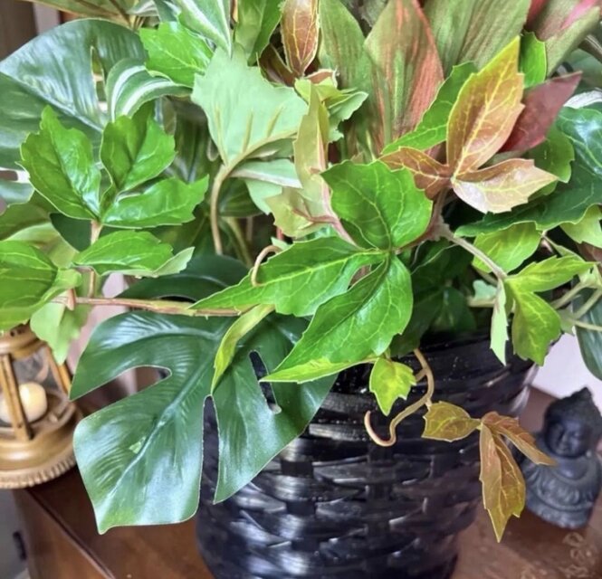光触媒 観葉植物 ウォールグリーン フェイクグリーン マッサンアレンジ