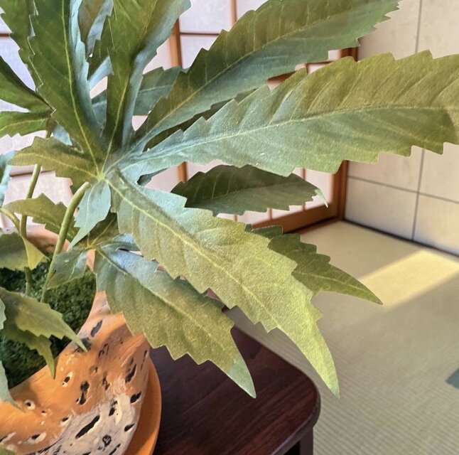 光触媒 人工観葉植物 ウォールグリーン フェイクグリーン 動物シリーズ