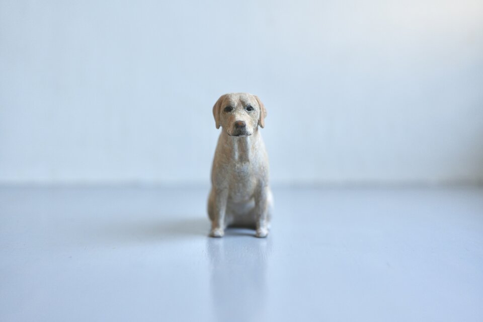 犬 ラブラドールレトリバー | iichi 日々の暮らしを心地よくする