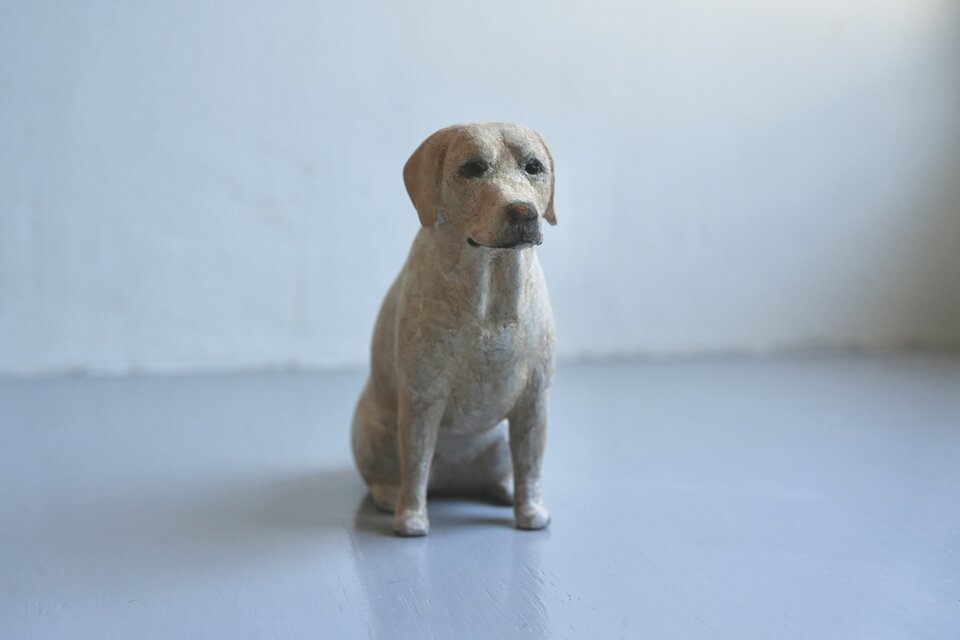 犬 ラブラドールレトリバー | iichi 日々の暮らしを心地よくする