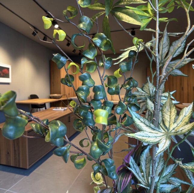 光触媒 人工観葉植物 ウォールグリーン フェイクグリーン ベンジャミン