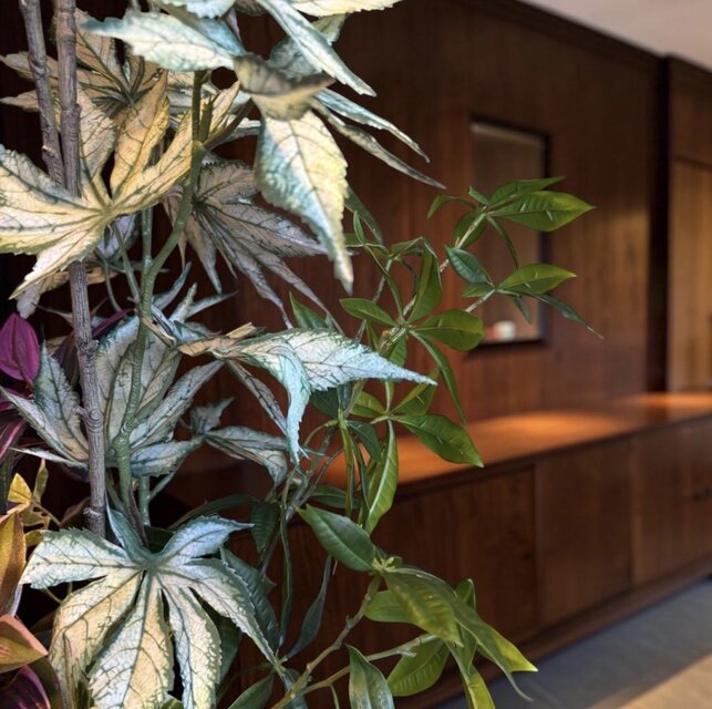 光触媒 人工観葉植物 ウォールグリーン フェイクグリーン ベンジャミン