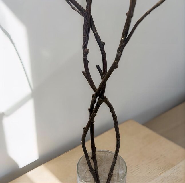 光触媒 観葉植物 ウォールグリーン フェイクグリーン マジカル