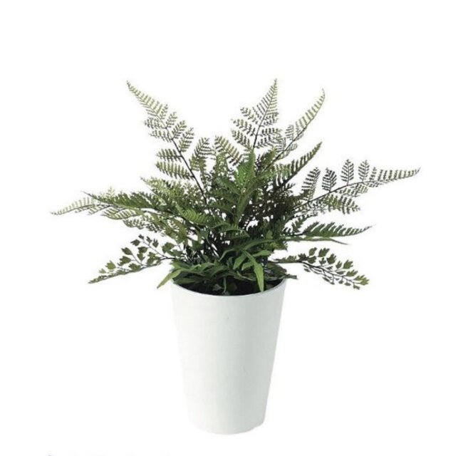 光触媒　人工観葉植物　ウォールグリーン　フェイクグリーン　ジェイドプラントMIX 光触媒 人工観葉植物 ウォールグリーン フェイクグリーン ミックス