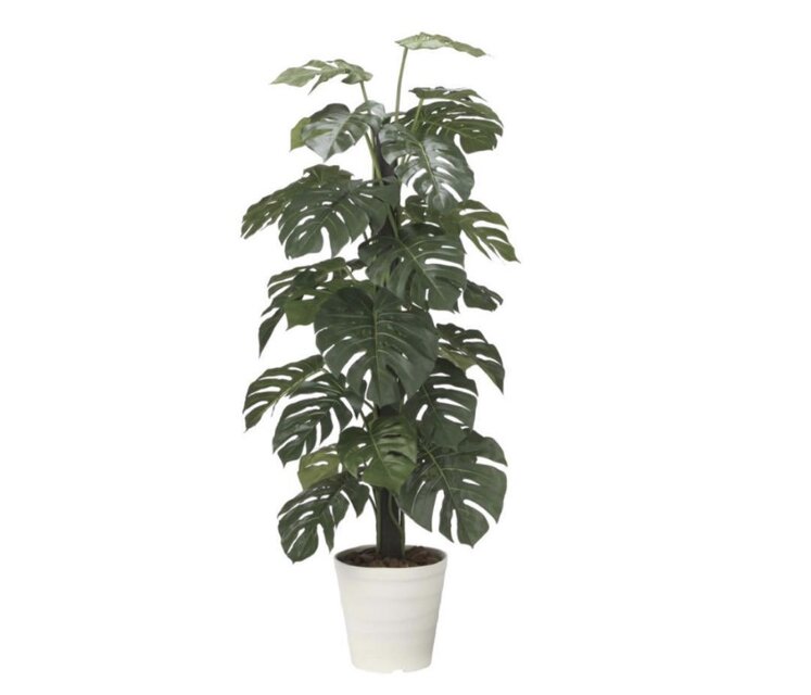 光触媒 人工観葉植物 ウォールグリーン フェイクグリーン モンステラ