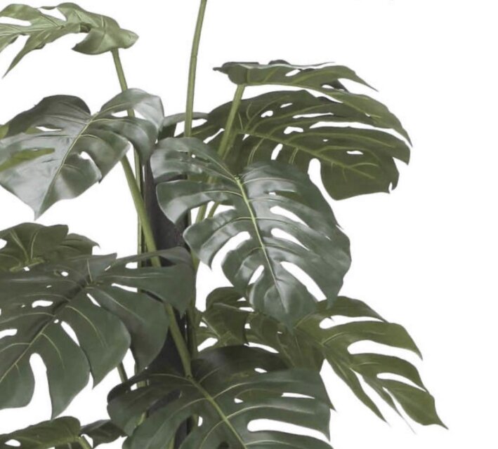 光触媒 人工観葉植物 ウォールグリーン フェイクグリーン モンステラ